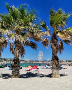 duas palmeiras numa praia com uma roda gigante ao fundo em Appartement Plage Prado/Vélodrome em Marselha
