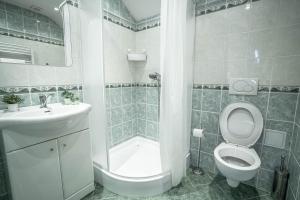 y baño con aseo, lavabo y ducha. en Chata Pohoda, en Rokytnice nad Jizerou