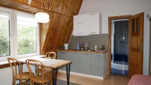 a kitchen with a table and chairs and a sink at Pokoje DAJAN in Łeba