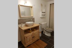 a bathroom with a sink and a toilet and a mirror at Cocon chic et cosy au pied du Vercors in Marches