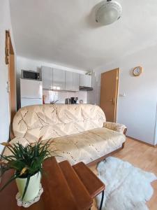 a living room with a couch and a table at Apartma Mandala in Koper