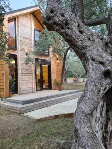 a wooden house with a large tree at OLEA COTTAGE in Ulcinj