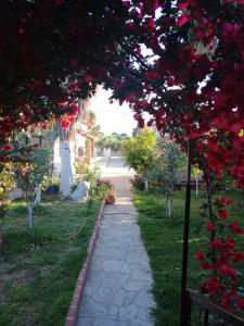a path through a garden with red flowers at Armonia Studios in Agios Georgios