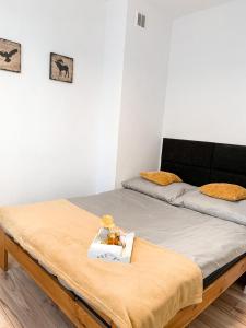 Säng eller sängar i ett rum på Apartamenty Oleńka II - Szczytno Mazury