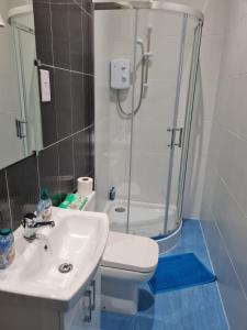 a bathroom with a shower and a toilet and a sink at County Studio in Ipswich