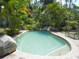 a large swimming pool with a bench in a garden at Johns Tropical Island Home in Nelly Bay