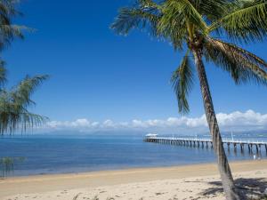 een strand met twee palmbomen en een pier bij Reflections Topaz Villa 2 in Picnic Bay