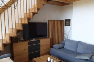 salon z niebieską kanapą i telewizorem w obiekcie Galerie Wohnung Hechelstein / Top 106 w mieście Tauplitz