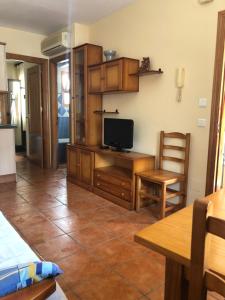 A television and/or entertainment centre at Apartamentos Cantarero Maro Nerja