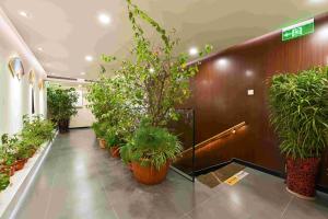 Foto Pekingis asuva majutusasutuse Xingshe Alley Courtyard Hotel Beijing Wangfujing Forbidden City Branch - Breakfast included & English speaking reception & Free WiFi and Laundry room & Hutong Culture & Cat-keeping & Flower-growing Terrace & One day tour service & Free coffee galeriist