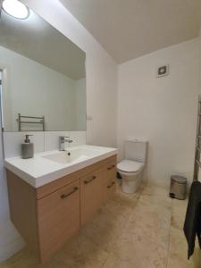 a bathroom with a sink and a toilet at Cosy Mount Studio Moments to Beach & Downtown in Mount Maunganui