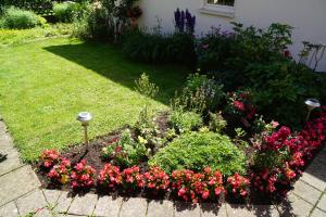 a garden with flowers and plants in a yard at Ferienwohnungen Hof Heinzmann in Kohlstetten