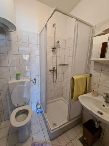 ein Bad mit einer Dusche, einem WC und einem Waschbecken in der Unterkunft Apartmani Jozic in Njivice