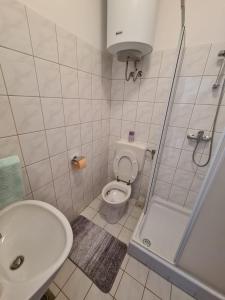 ein kleines Bad mit einem WC und einer Dusche in der Unterkunft Apartmani Jozic in Njivice