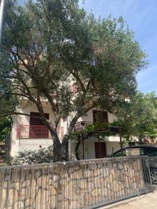 a tree in front of a white house with a fence at APARTMENTS Vuković in Vrboska