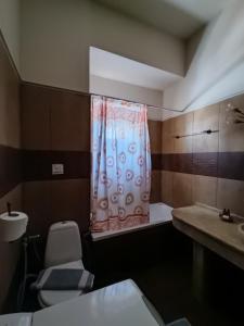カミラリにあるAnemiのバスルーム(シャワーカーテン、トイレ、シンク付)