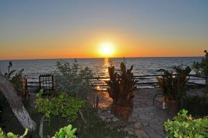 un coucher de soleil sur l'océan avec une clôture et des plantes dans l'établissement Beach house Yannis 3 in Agios Gordios Beach on Corfu, à Agios Gordios