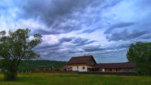 Fereşti的住宿－Acasa in Maramures，一片阴云天空下的田野中的房屋