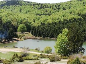 a large lake in the middle of a forest at Olympus Country House in Kariá
