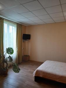 Un dormitorio con una cama y una ventana con una planta en Прайд Кривой Рог, en Krivoy Rog