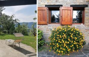 um edifício com uma janela e um arbusto de flores amarelas em Ca' Dei Ste em Valle