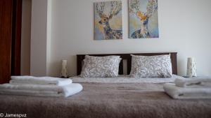 Un pat sau paturi într-o cameră la Apartamento Santos Graça