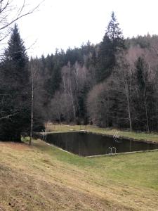 Príroda v okolí penziónu