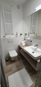 La salle de bains est pourvue d'un lavabo, de toilettes et d'un miroir. dans l'établissement VOJCAR Apartments, à Rewal