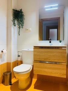 a bathroom with a toilet and a sink and a mirror at Apartamento Rio San Isidro 2 in Felechosa