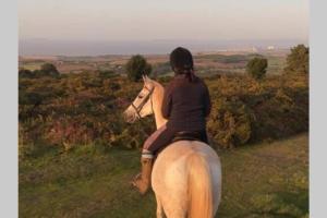 a woman riding a horse in a field at Barton Cottage in Bridgwater