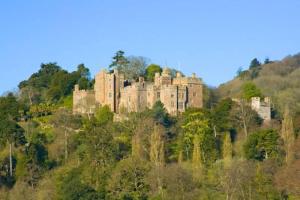 a castle on top of a hill with trees at Barton Cottage in Bridgwater
