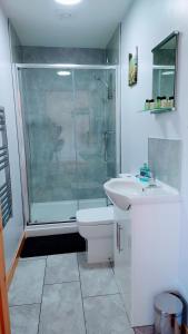 a bathroom with a shower and a toilet and a sink at Uig Chalets Idrigill Hill Chalet in Uig