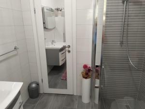 Vannituba majutusasutuses Apartmani Cobanov Josipa