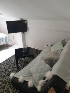 シャテルにあるAppartement Châtelのリビングルーム(ソファ、枕、テレビ付)