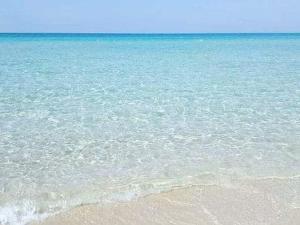 a view of the ocean with a sandy beach at Piccadilly Rooms Restaurant and Beach in Santa Maria al Bagno