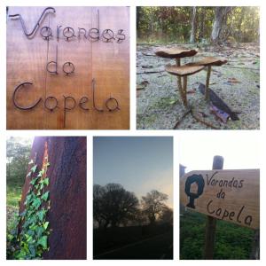 Fotografie z fotogalerie ubytování Varandas da Capela v destinaci Tuizelo
