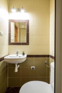 een badkamer met een wastafel, een toilet en een spiegel bij Pawlikówka 2 in Zakopane +5 foto's