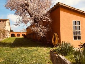Zahrada ubytování Mas Teixidor, Masia entre Girona y la Costa Brava
