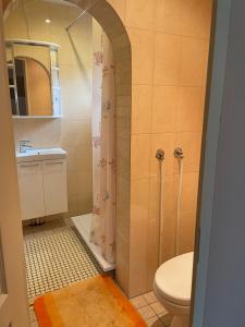 Vonios kambarys apgyvendinimo įstaigoje Vallaku Guesthouse