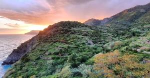 an aerial view of a mountain near the ocean at Arbanella in Corniglia