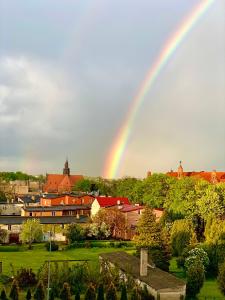 Afbeelding uit fotogalerij van Apartament Turkus in Kościerzyna