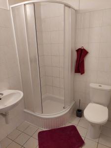 ein Bad mit einer Dusche, einem WC und einem Waschbecken in der Unterkunft Lagúna ubytovanie in Nemšová