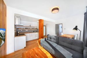 Kuchnia lub aneks kuchenny w obiekcie Podstata Apartments Vrchlabí - Rotterovka