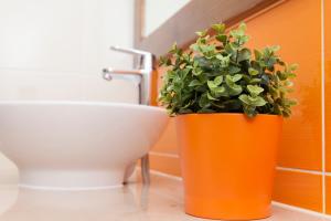 a bathroom with a sink and a potted plant at Agro-Turismo do ROXO in Santa Vitória