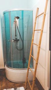 een badkamer met een glazen douche en een ladder bij DOM LAS - natura, relaks, jacuzzi. in Mianów