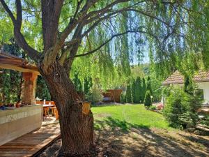 a tree in a yard next to a house at Tünde Szállás in Bogács