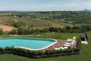 an aerial view of a swimming pool with lounge chairs and a vineyard at Relais Villa Margherita in Longiano