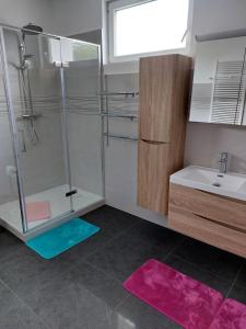 W łazience znajduje się prysznic i umywalka. w obiekcie Ferienhaus Vagner w mieście Furth