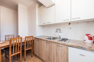Kuchyň nebo kuchyňský kout v ubytování Villa Mihaela