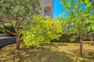 Zahrada ubytování Villa Mihaela
